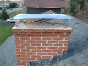 Chimney cap- stainless multi flue